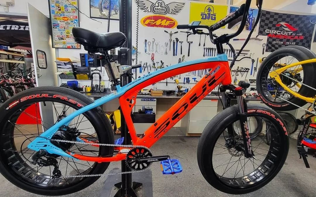 SOUL E-Bikes Sonic Pro X