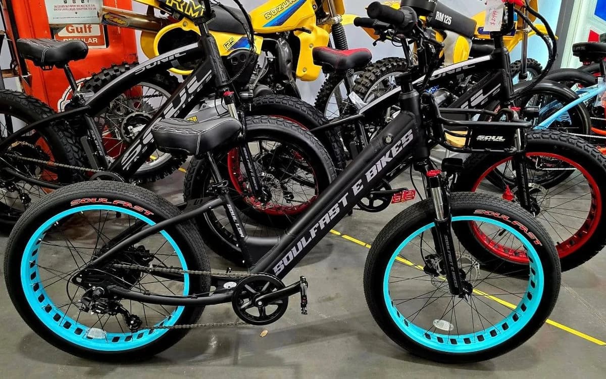 SOUL E-Bikes SOUL Low Pro