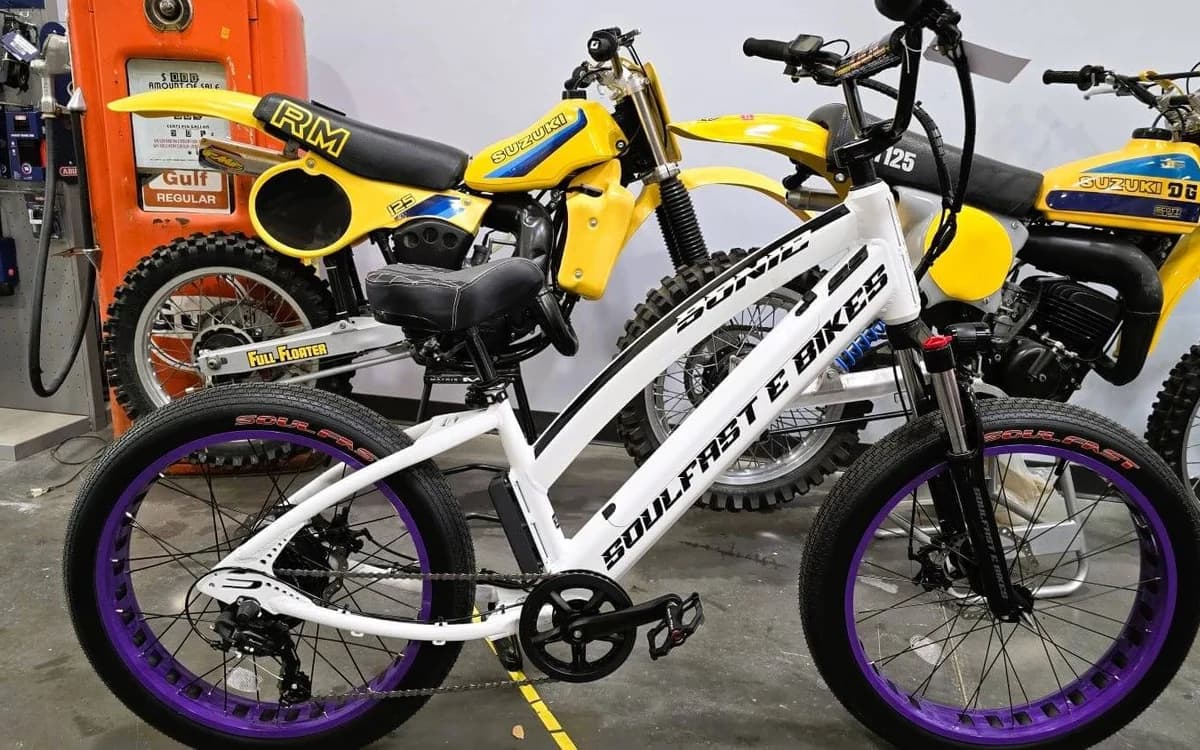 SOUL E-Bikes SX